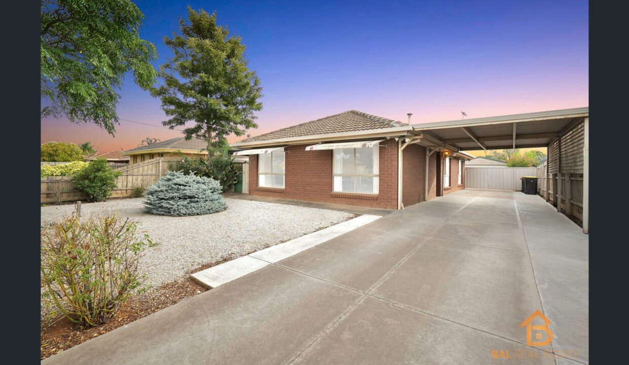 80929773__1707356518-20211-image2