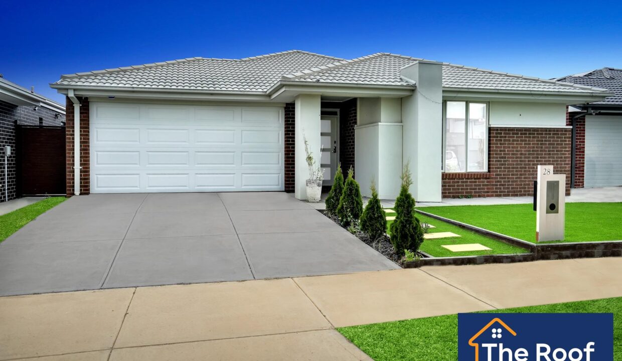 81702919__1722500894-81702919__1707955531-36477-1Grass