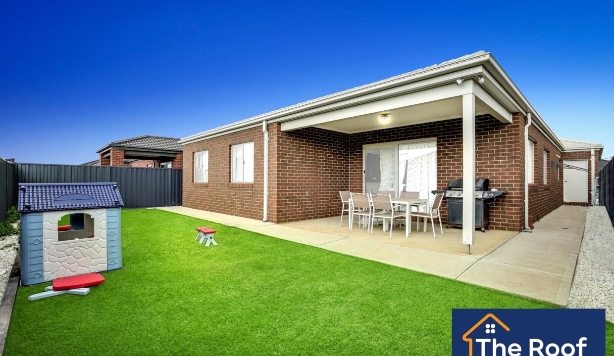 81703118__1722500894-81703118__1707955561-36527-3Grass