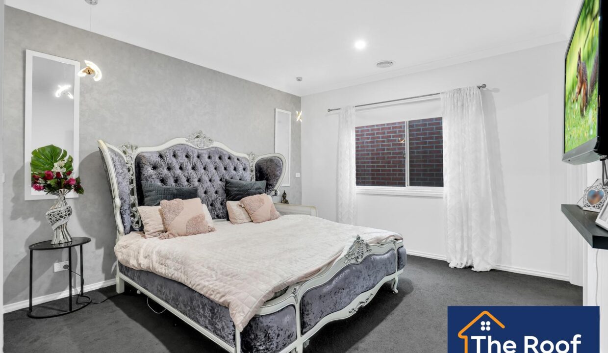 81703155__1722500894-81703155__1707955581-36537-4