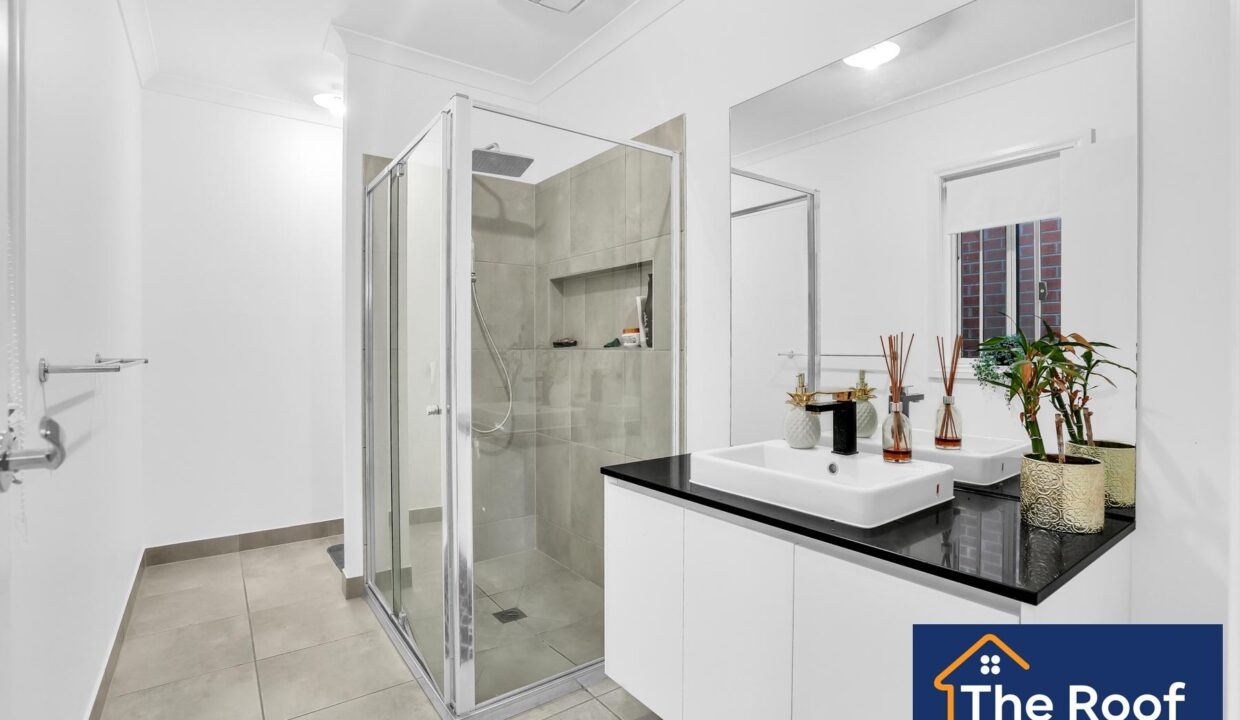 81703171__1722500894-81703171__1707955589-36586-5