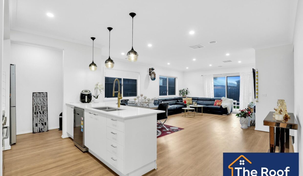 81703204__1722500894-81703204__1707955618-36783-7