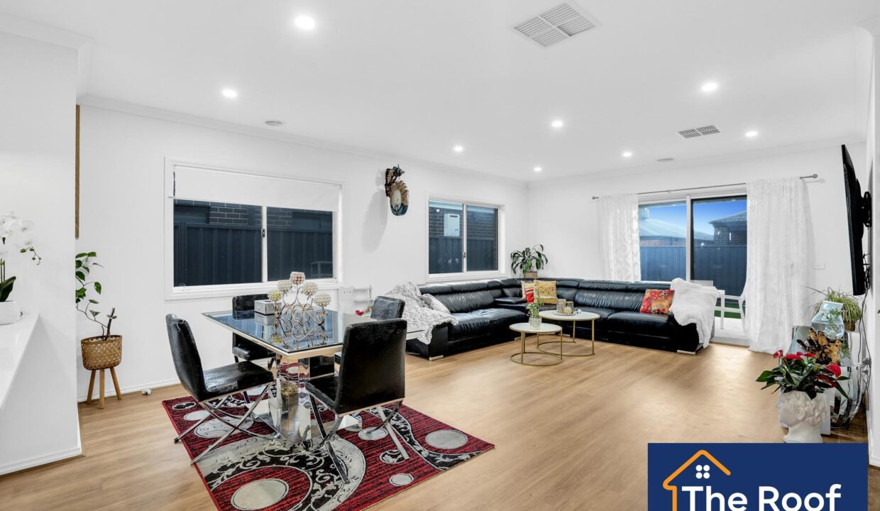 81703211__1722500894-81703211__1707955626-46509-8