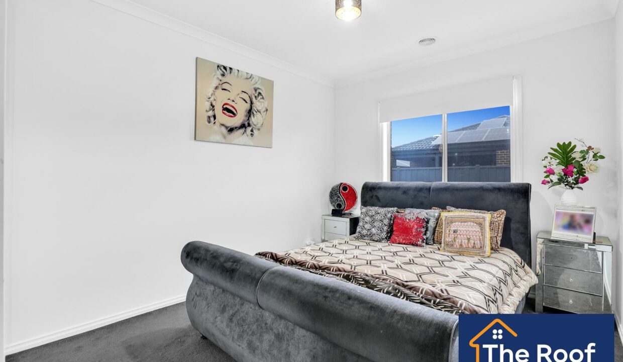 81703328__1722500894-81703328__1707955679-36976-12