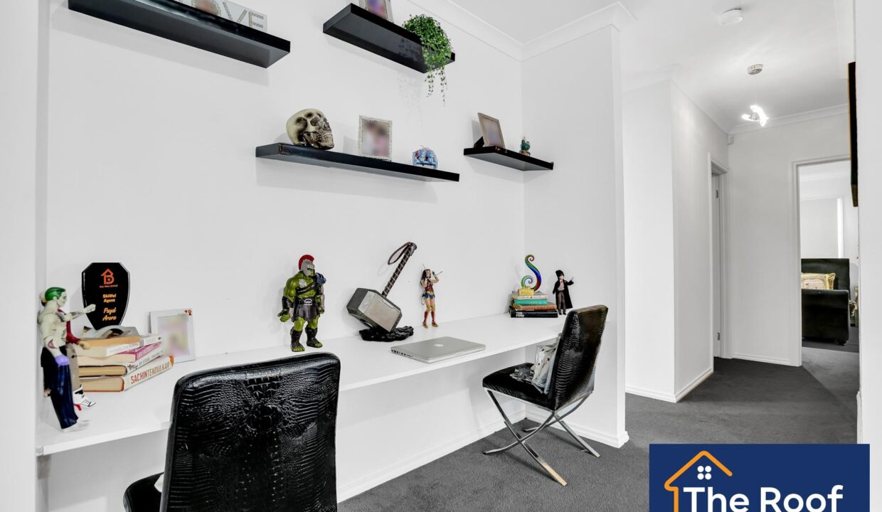 81703379__1722500894-81703379__1707955747-46842-17