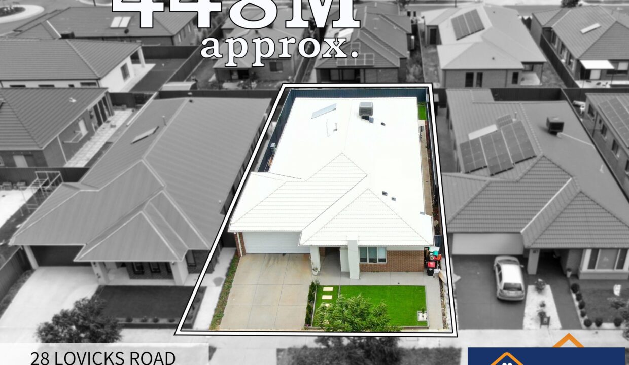 81703403__1722500894-81703403__1707955779-37212-2