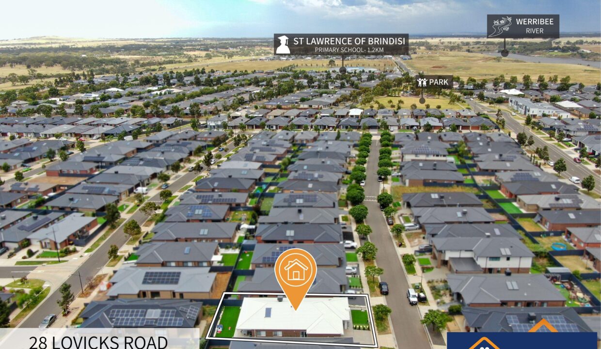 81703415__1722500894-81703415__1707955795-37136-5