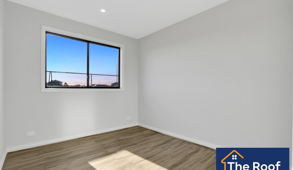 81900770__1722499768-81900770__1708043622-41137-03