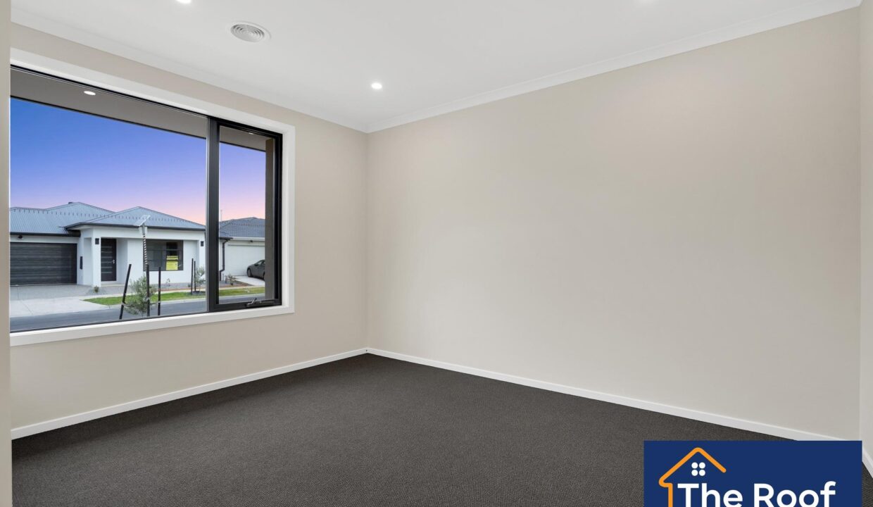 83159249__1722499969-83159249__1709001449-66960-031