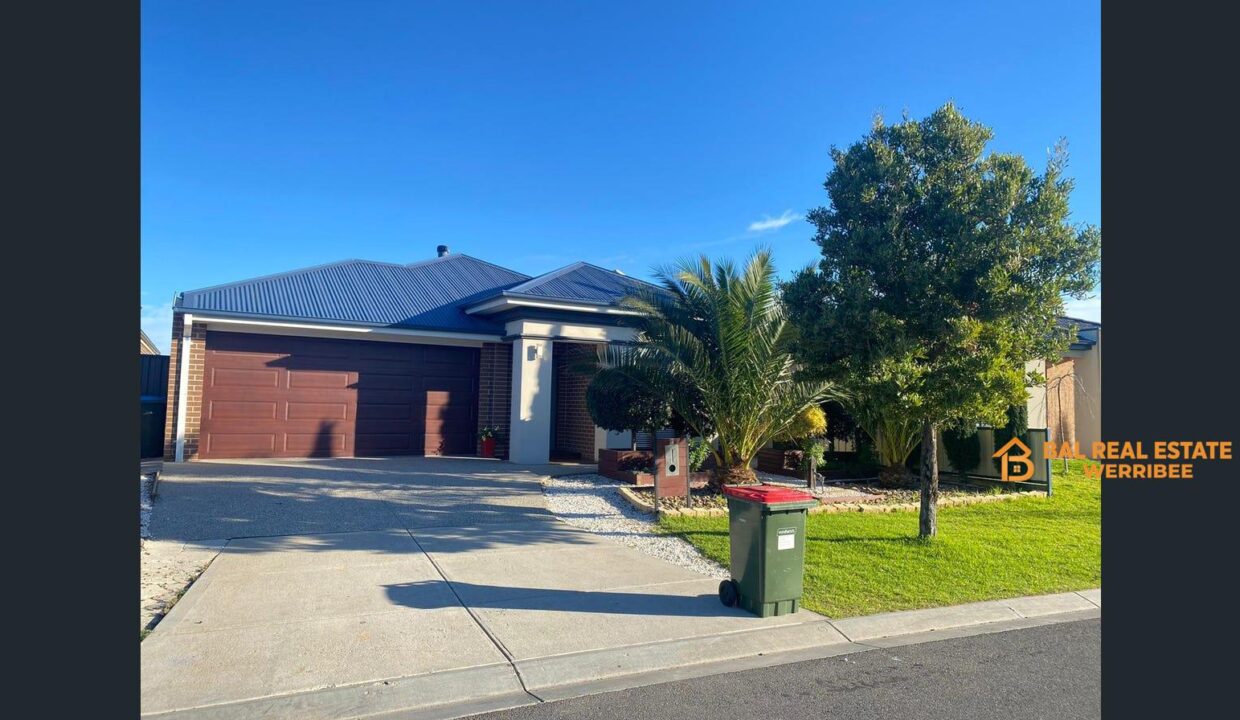 83439062__1709270216-83439062__1709270108-90884-main