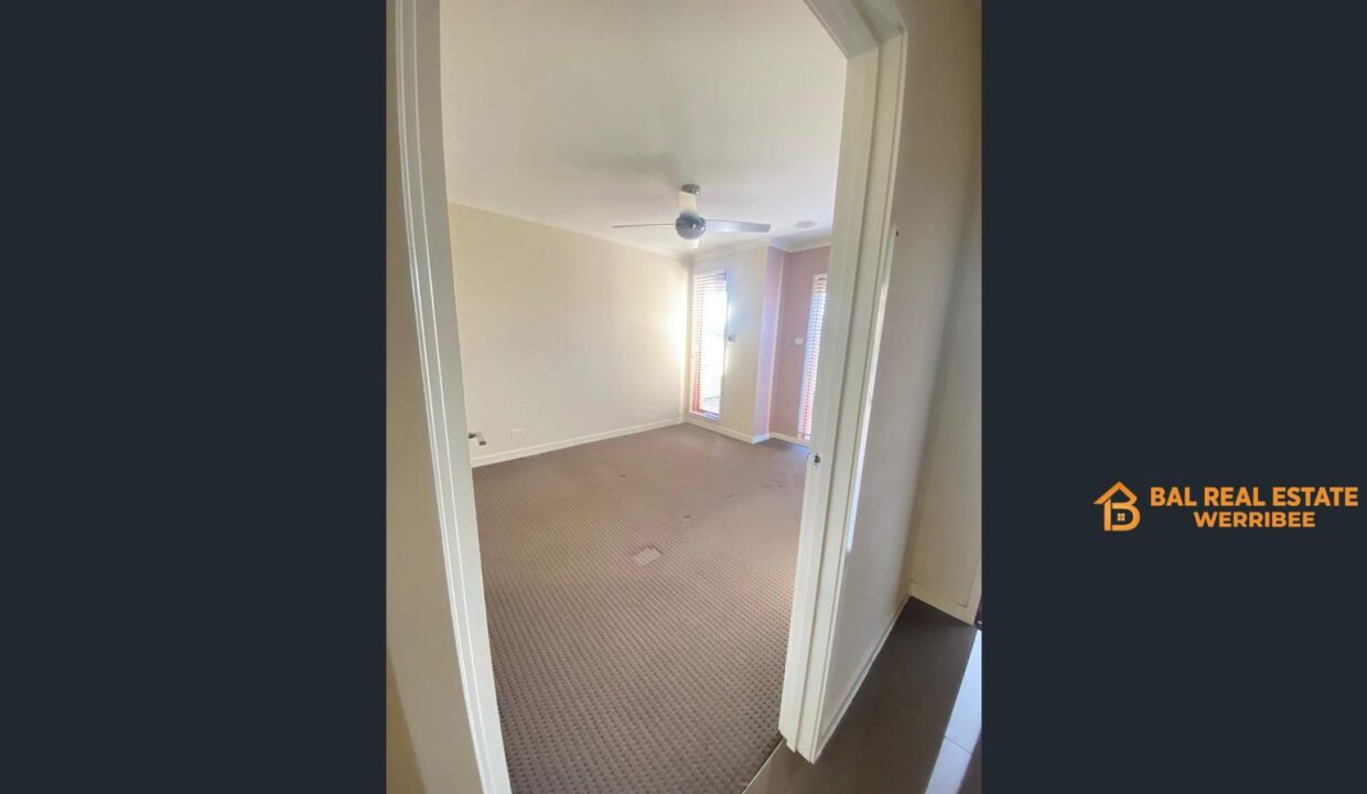 83439100__1709270216-83439100__1709270128-91027-image2