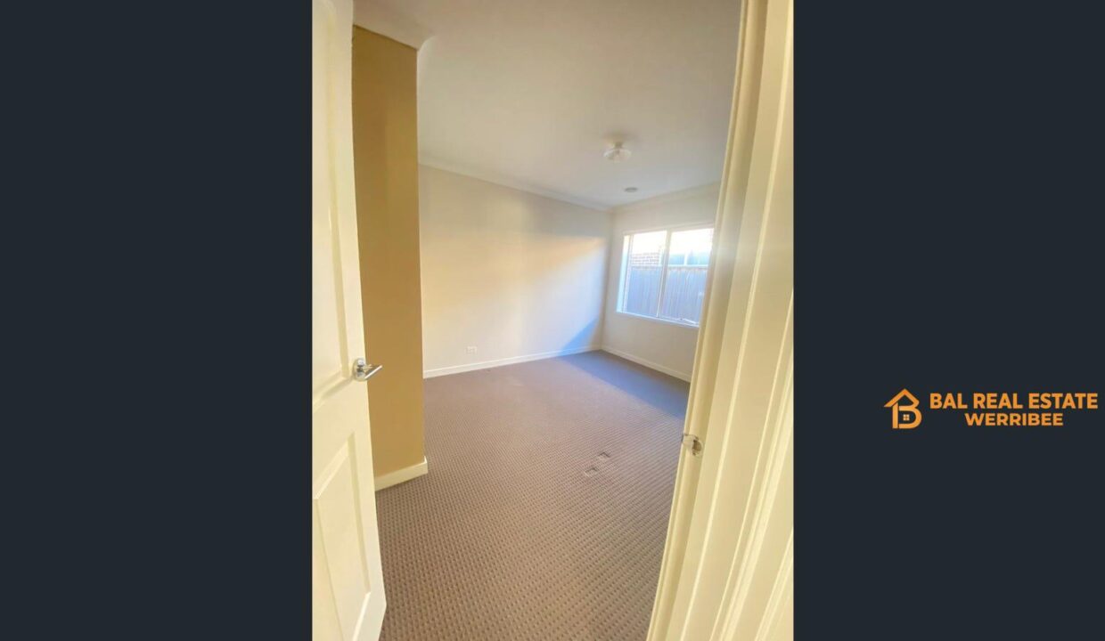 83439101__1709270216-83439101__1709270130-91015-image3