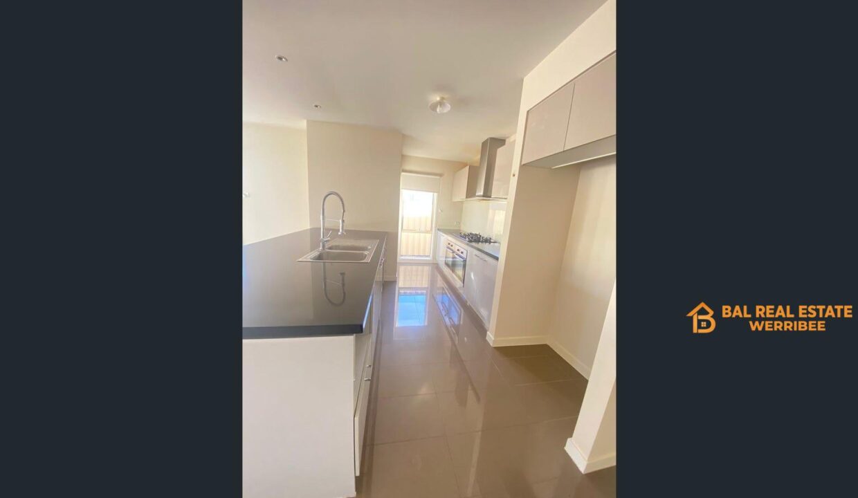 83439103__1709270216-83439103__1709270133-91069-image5