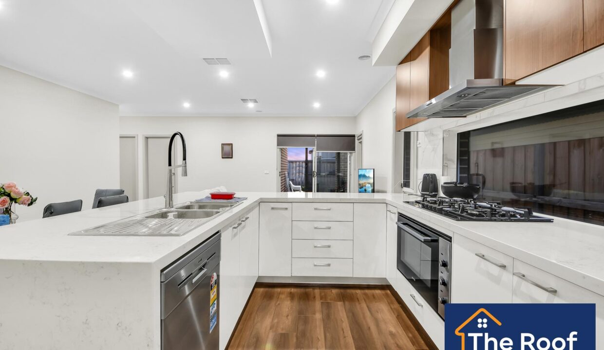 83681696__1722499996-83681696__1709512569-47571-102