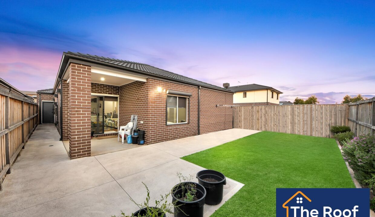 83681703__1722499997-83681703__1709512576-8223-8Grass