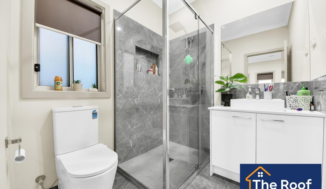 83681706__1722499996-83681706__1709512579-57667-7