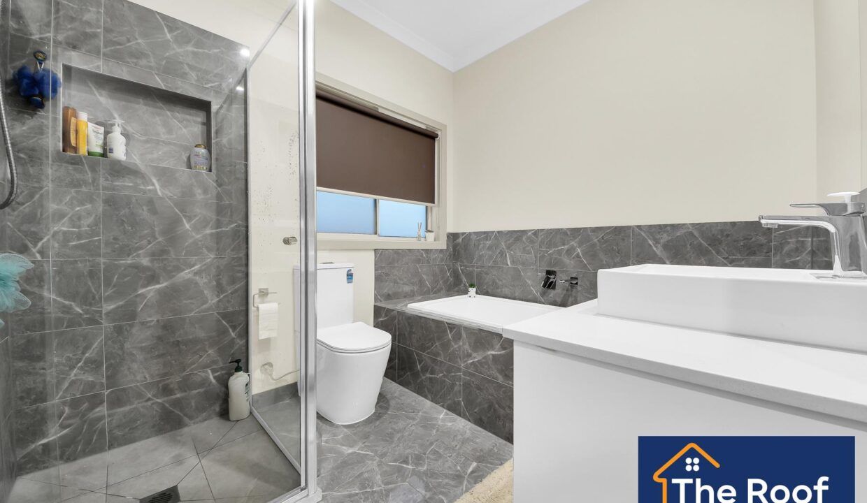 83681719__1722499996-83681719__1709512588-44538-4