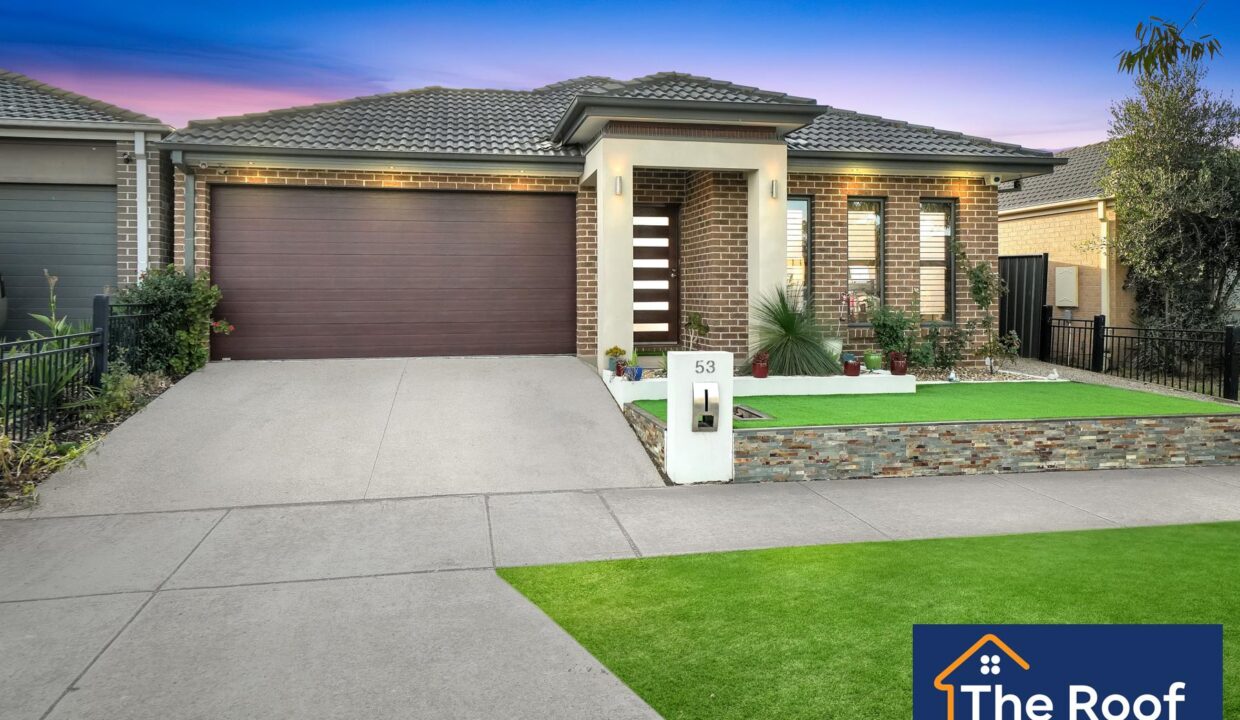 84482022__1722500115-84482022__1710286282-30912-19Grass