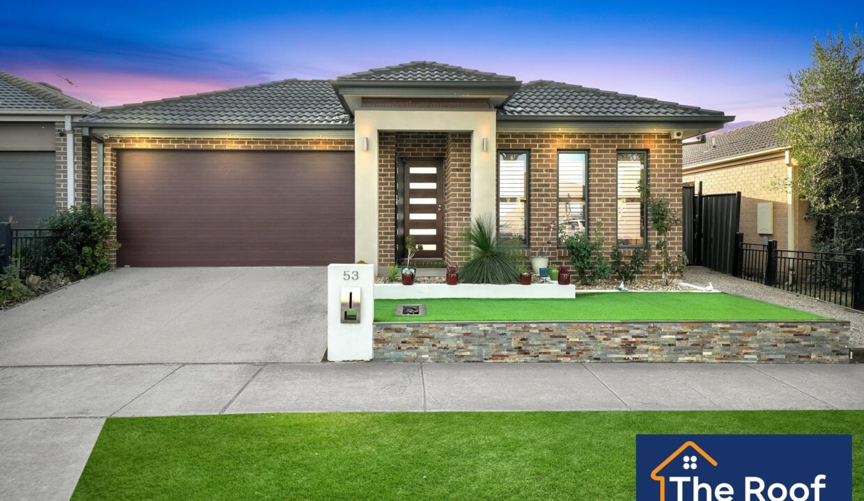 84482030__1722500114-84482030__1710286287-30949-18Grass