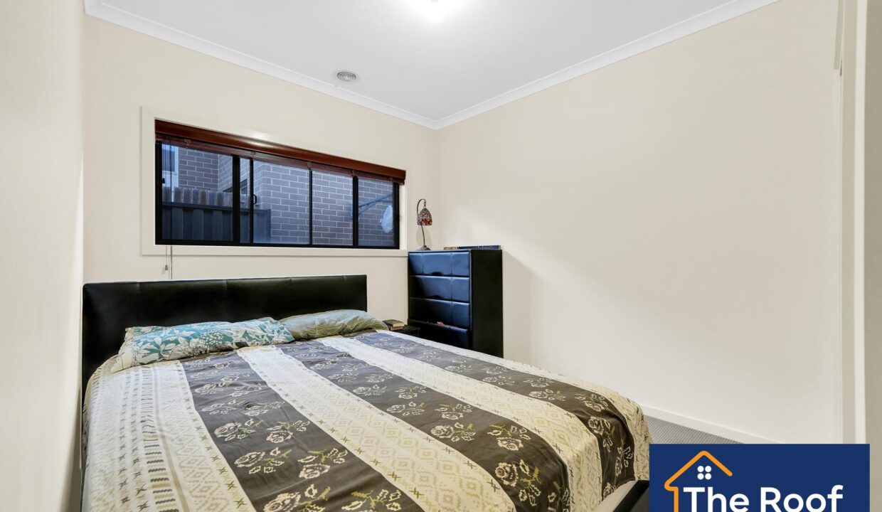 84482093__1722500115-84482093__1710286313-30978-51