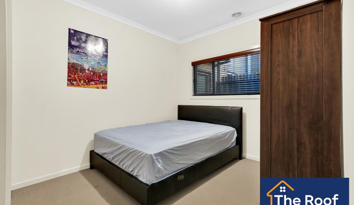 84482097__1722500115-84482097__1710286316-30965-41