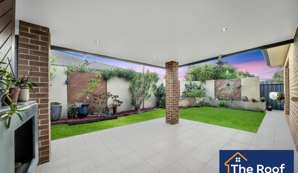 84482103__1722500115-84482103__1710286320-31121-3Grass