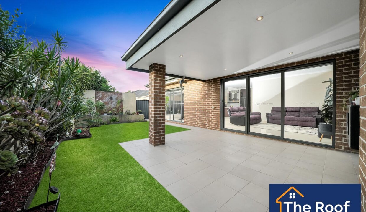 84482118__1722500115-84482118__1710286327-31096-1Grass