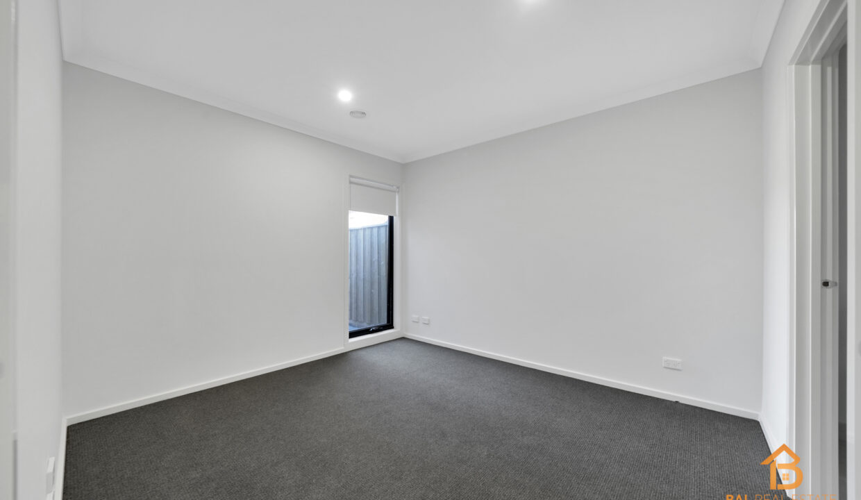 85232529__1710916937-107131-029