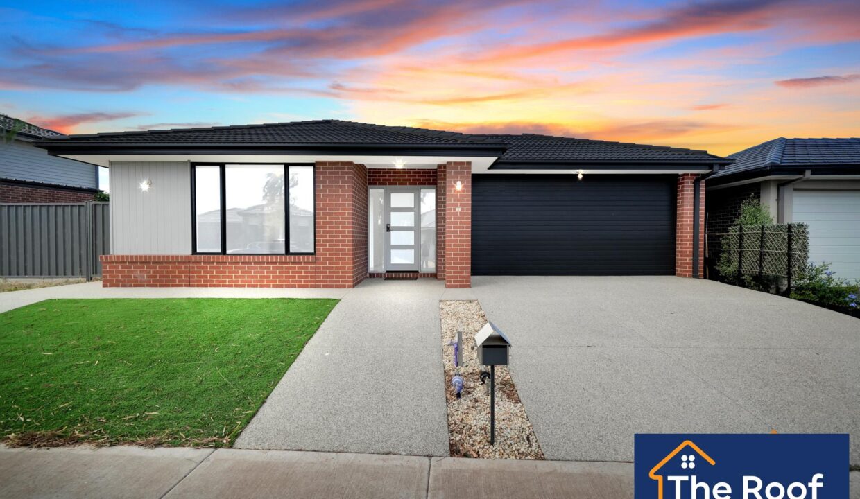 85654236__1722501228-85654236__1711328649-51740-017