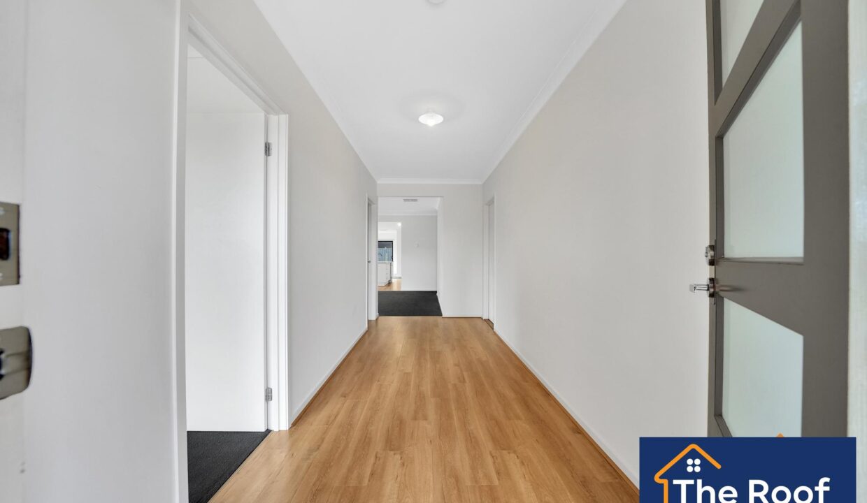 85654252__1722501228-85654252__1711328664-31618-018