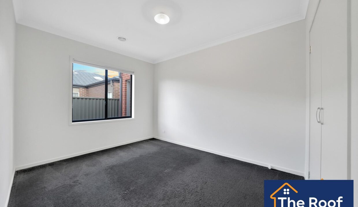 85654283__1722501228-85654283__1711328692-51647-010