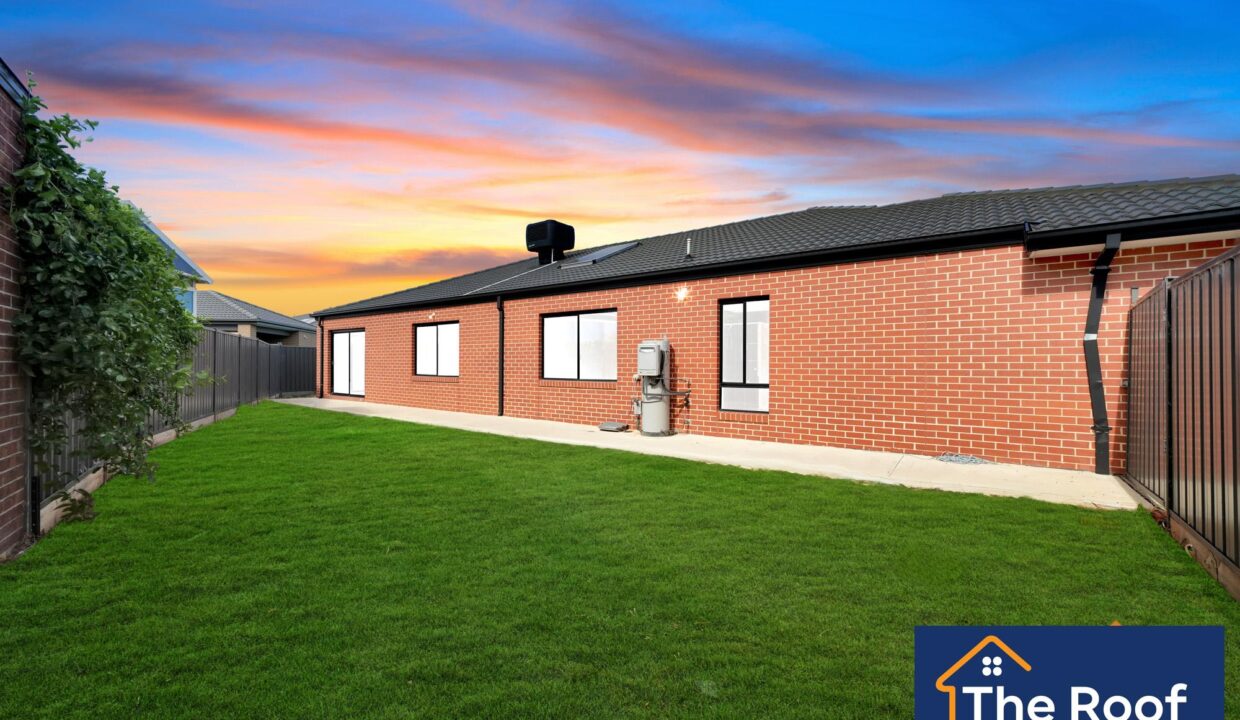 85654307__1722501228-85654307__1711328723-13933-03Grass