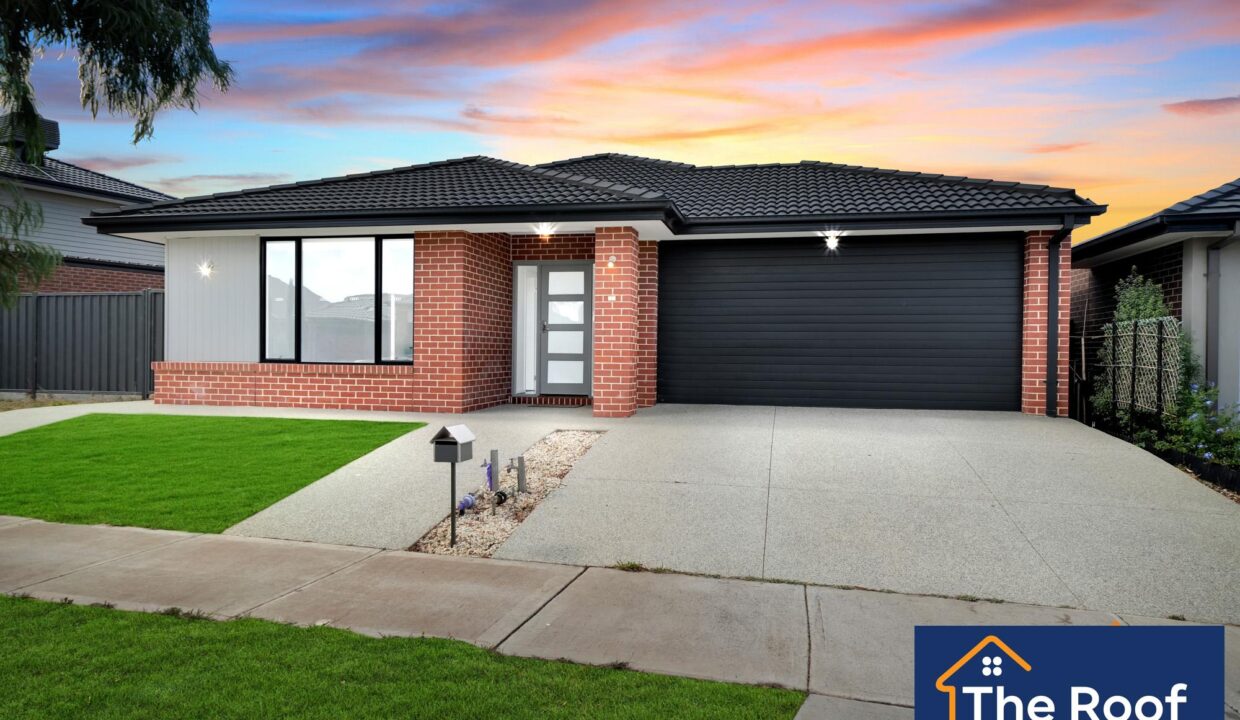 85654362__1722501228-85654362__1711328741-51901-01Grass