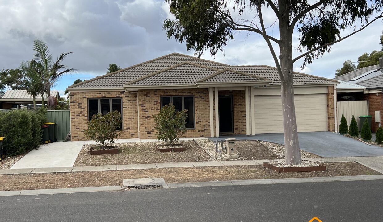 87424193__1773365985-87424193__1712904234-103054-image50733313