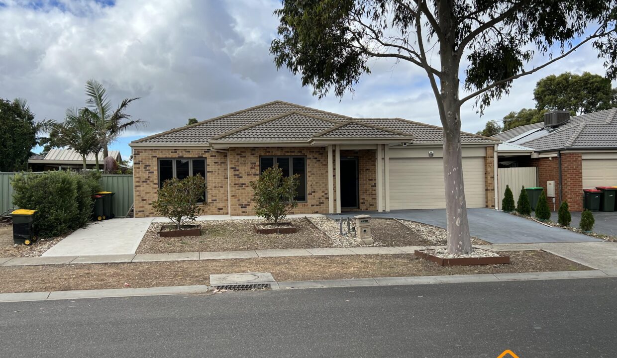 87424197__1773365985-87424197__1712904237-103208-image50418689