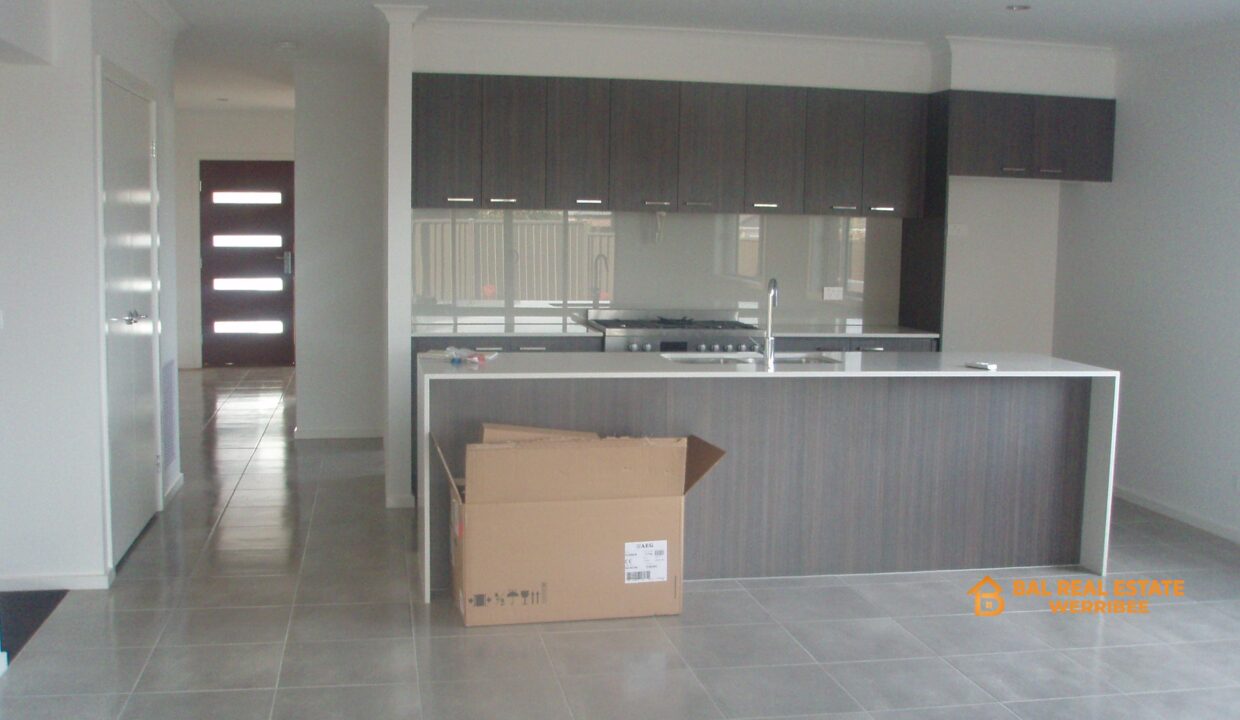 88003906__1713403443-88003906__1713402557-45891-P51826981