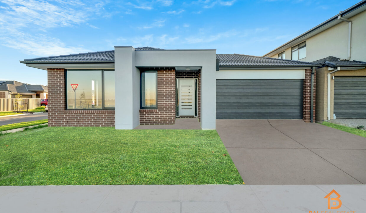 90800221__1715908463-48805-011Grass