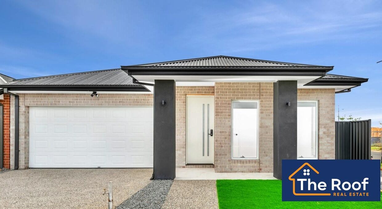 91622516__1722500930-91622516__1716166173-50165-image1