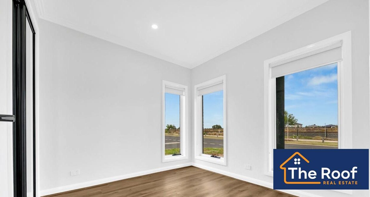 91622551__1722500930-91622551__1716166194-39269-image5