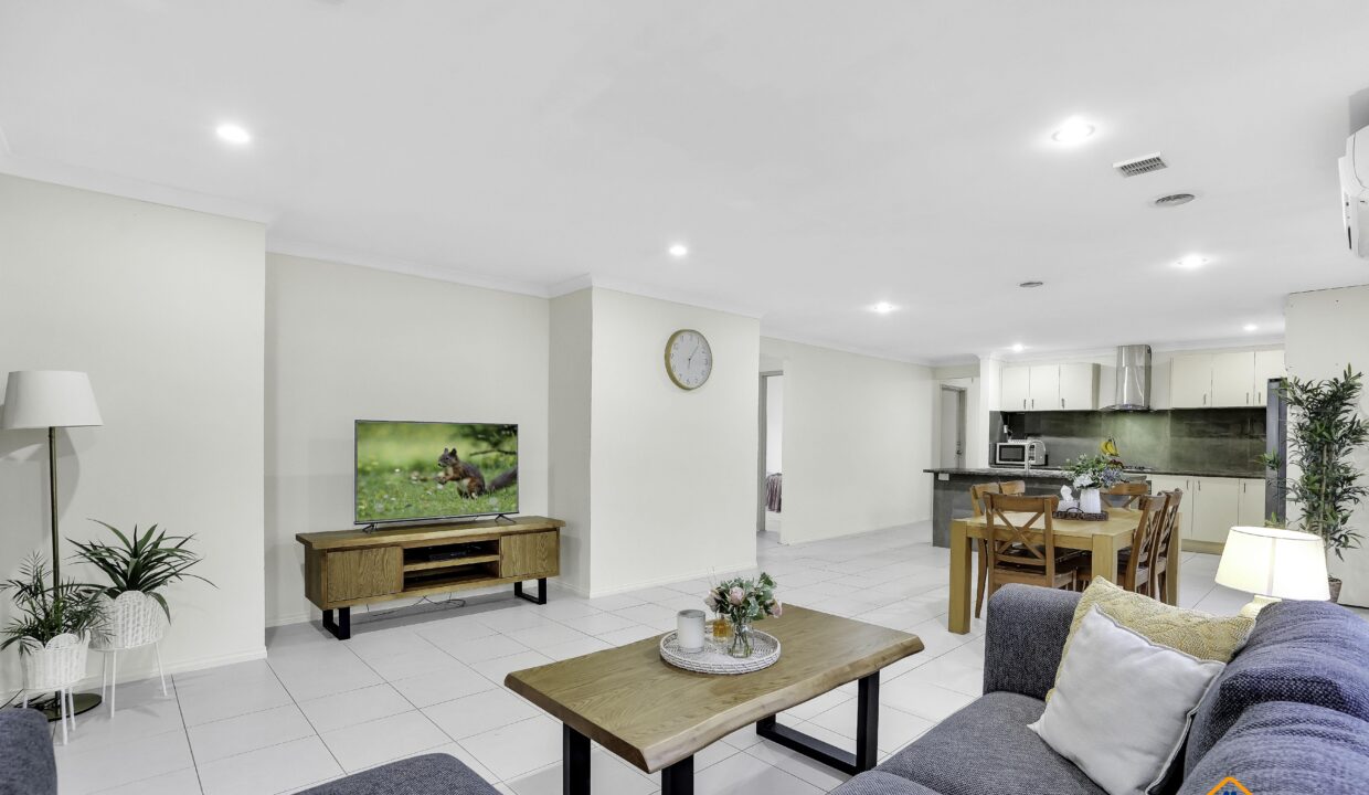 97117330__1720079876-97117330__1719977140-59931-101