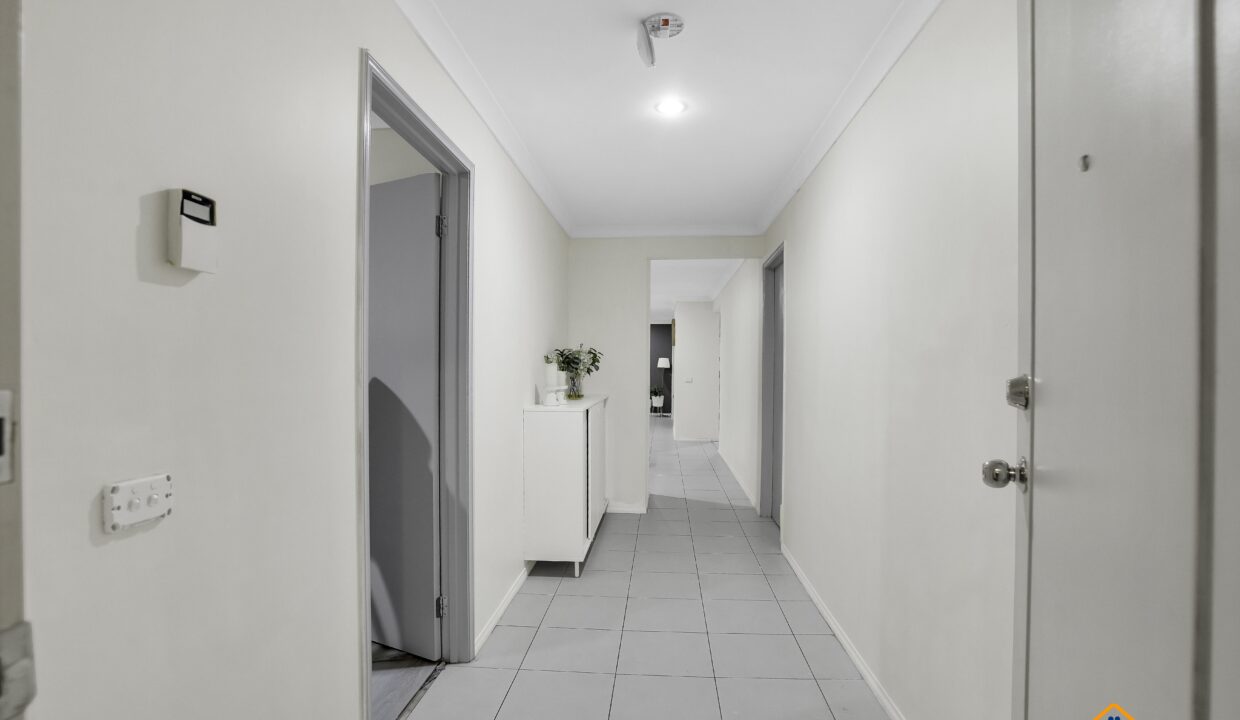 97118230__1720079876-97118230__1719977412-70375-161