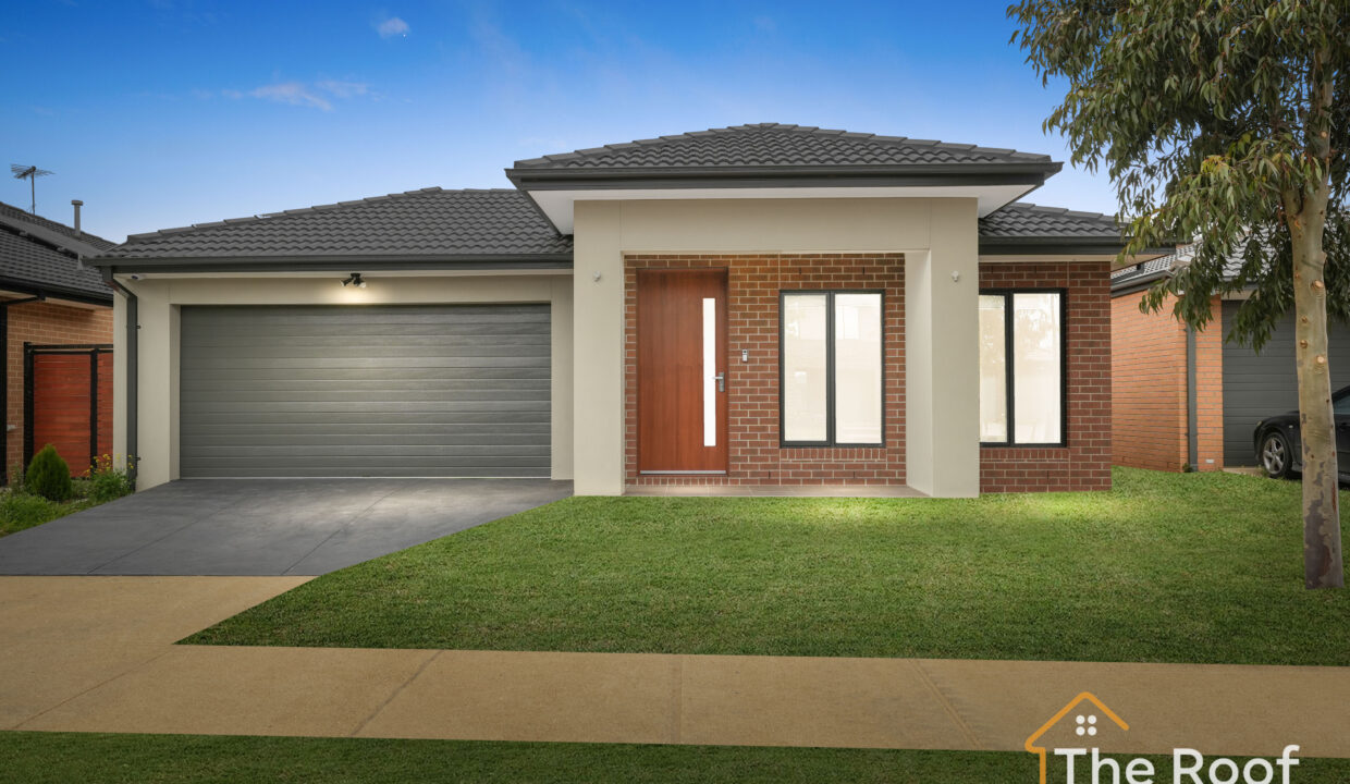 97839735__1720399348-38113-1.1