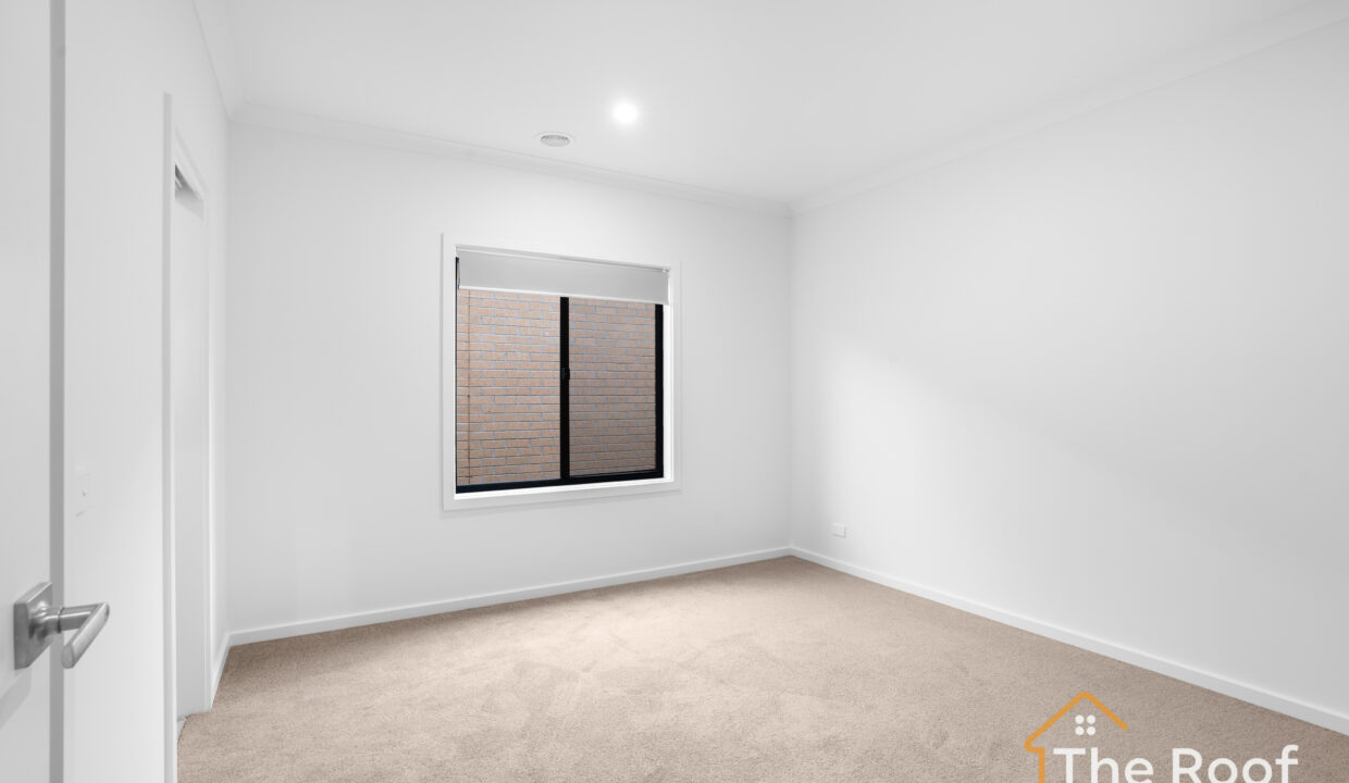 97839741__1720399353-48292-3