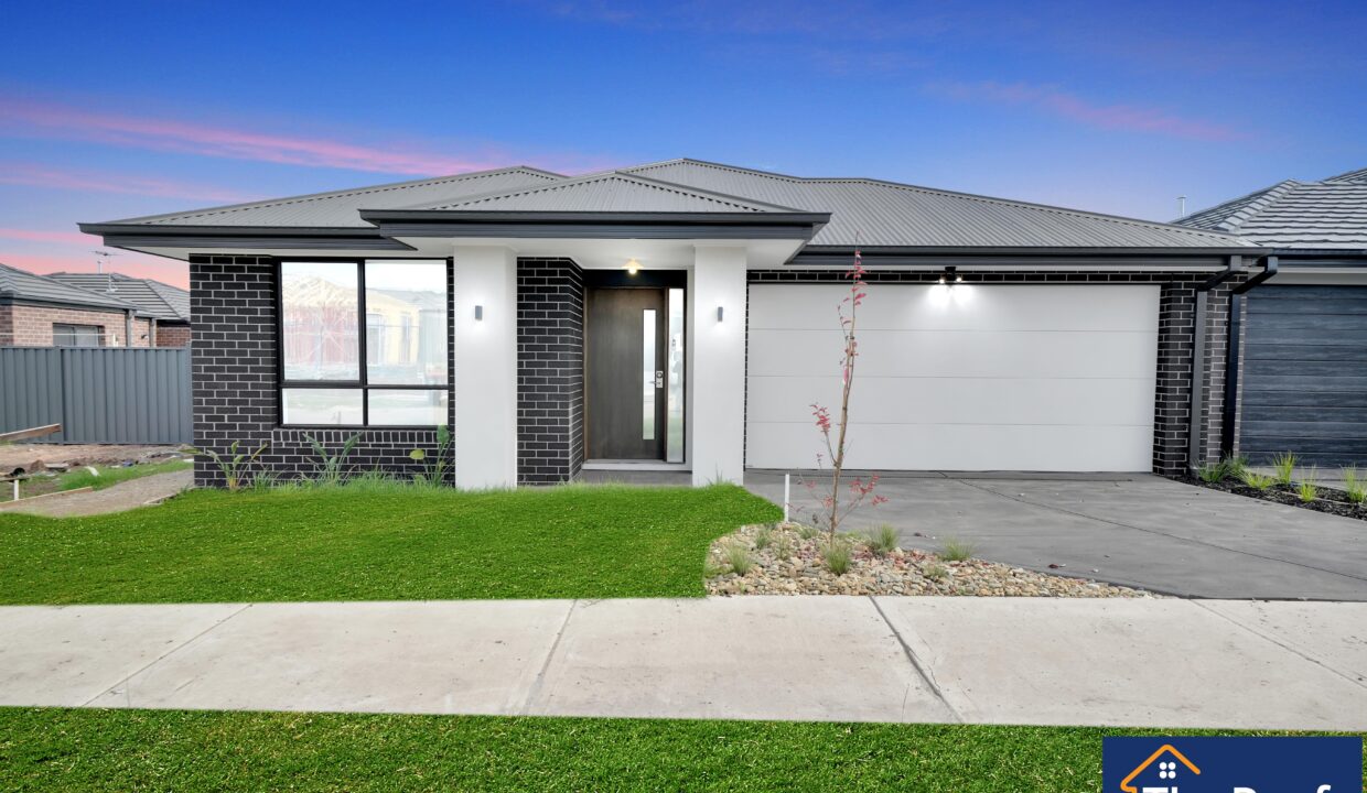 97906873__1724284781-97906873__1720581438-97906873__1720422178-109793-014Grass