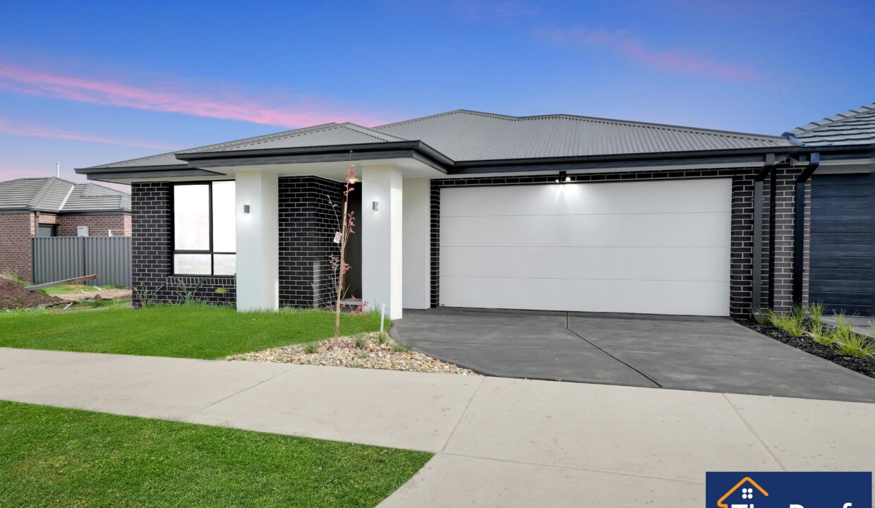 97906876__1724284782-97906876__1720581439-97906876__1720422183-99090-015Grass