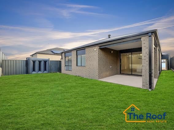 98055220__1720503036-98055220__1720502927-91490-IMG1667