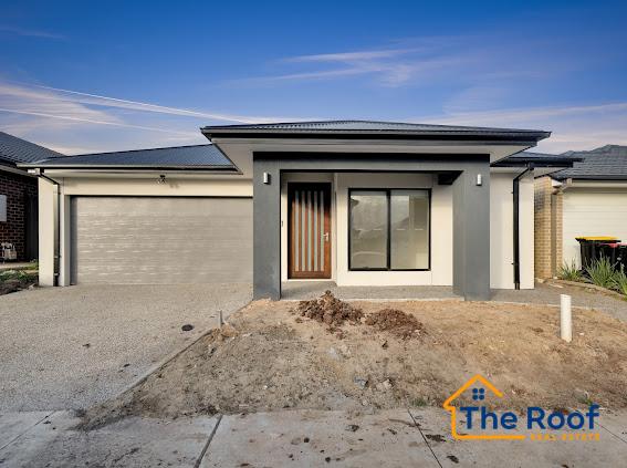 98055250__1720503036-98055250__1720502931-262895-IMG1670