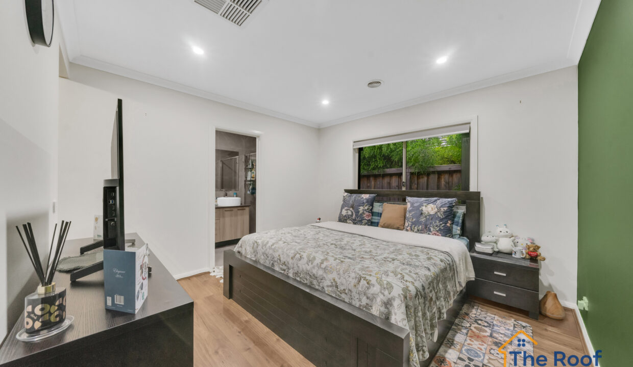 186543898__1770773409-60115-OSMEDIA-3