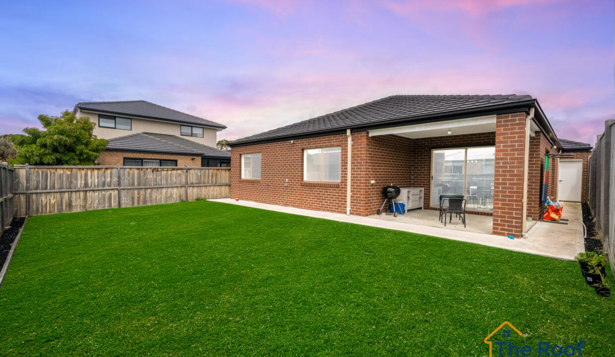 186544296__1770773466-60352-OSMEDIA-14GRASS