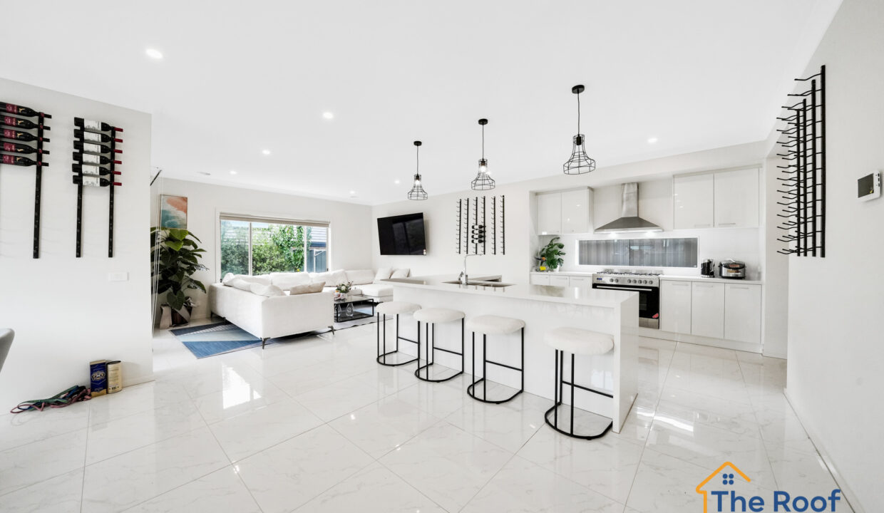 195320407__1775184979-51841-OSMEDIA-3